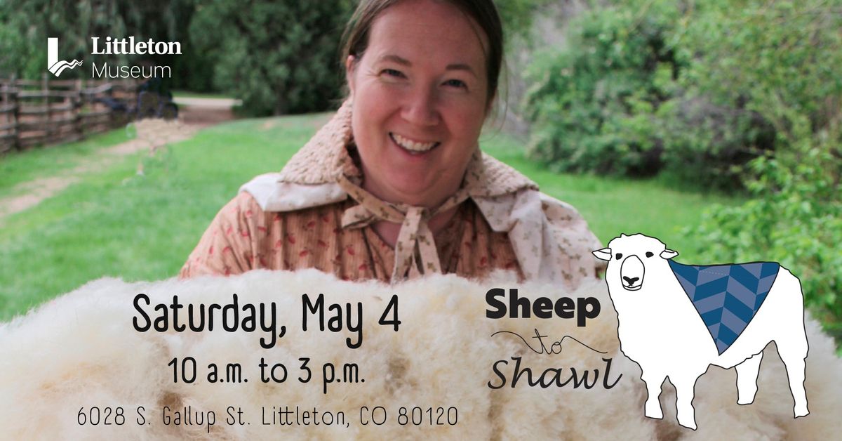 Sheep to Shawl