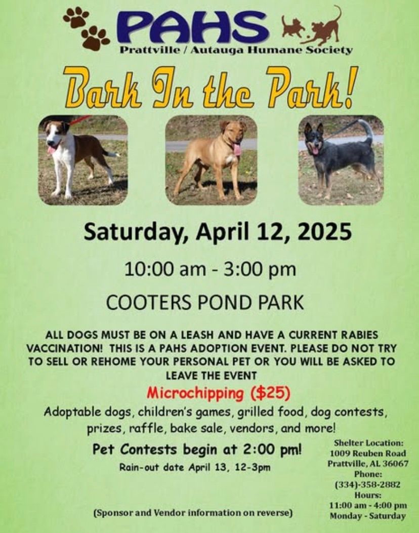 SHDR @ PAHS Bark In The Park 2025