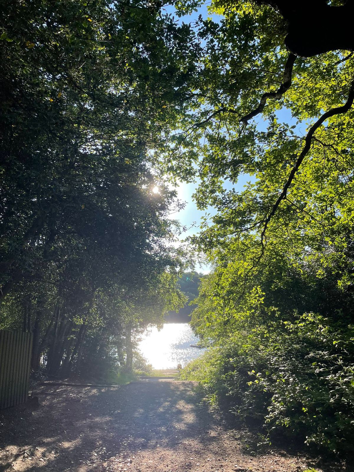 Sutton Park Evening walk 