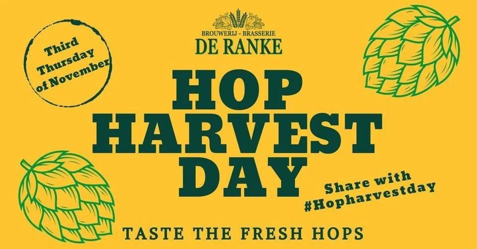 HOP HARVEST DAY 2024 - DE RANKE