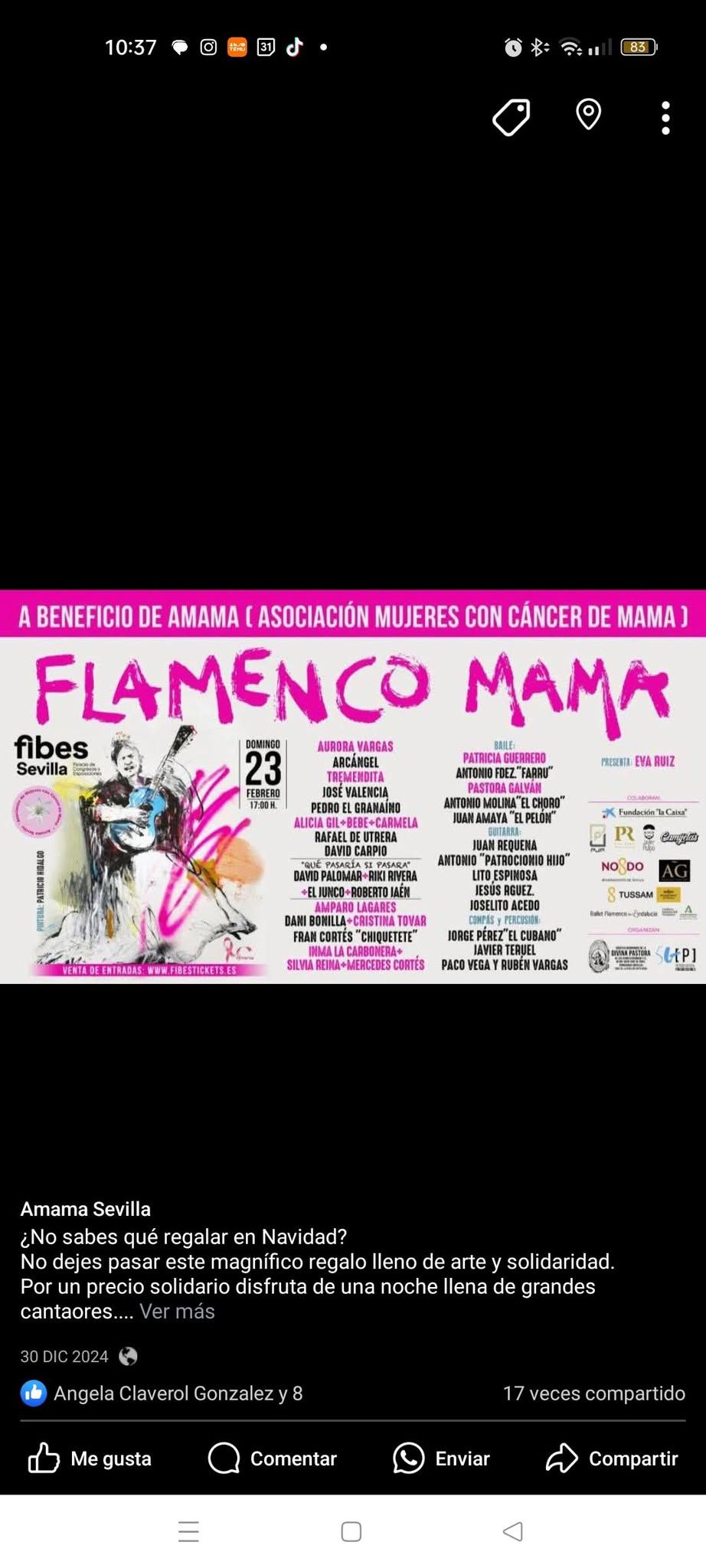 Gala Flamenco Amama