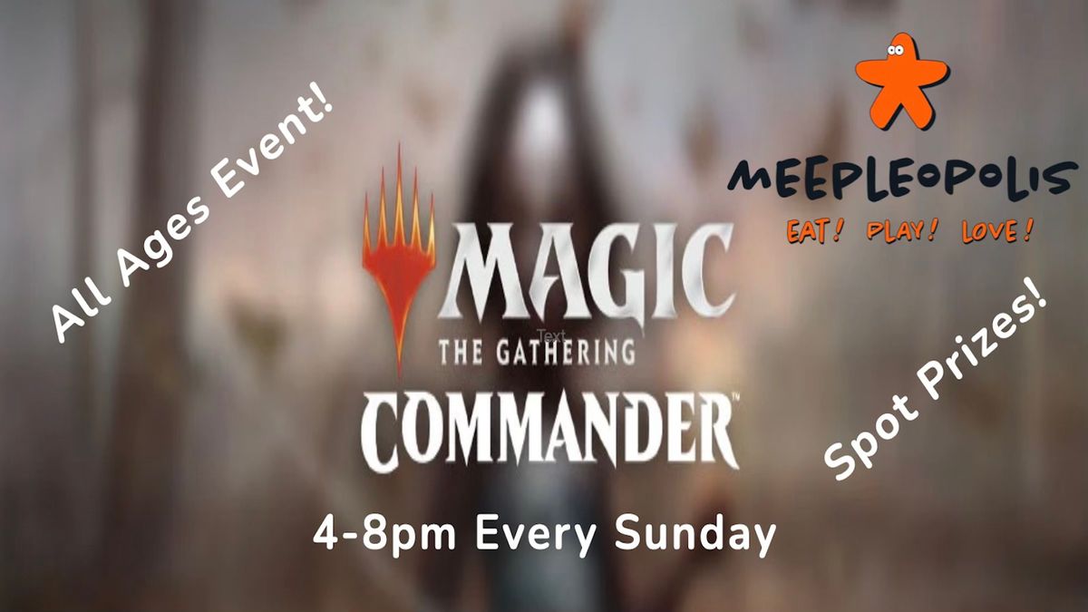 Magic The Gathering Commander Session