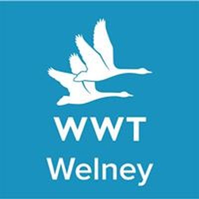 WWT Welney