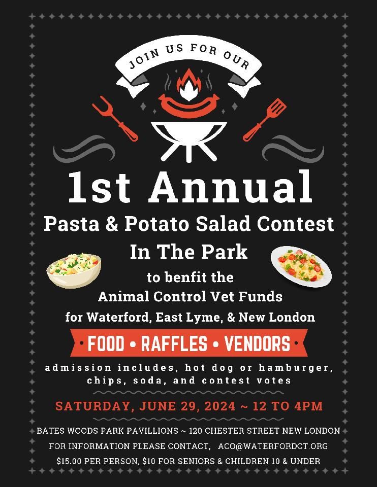 Pasta and potato salad contest in the park