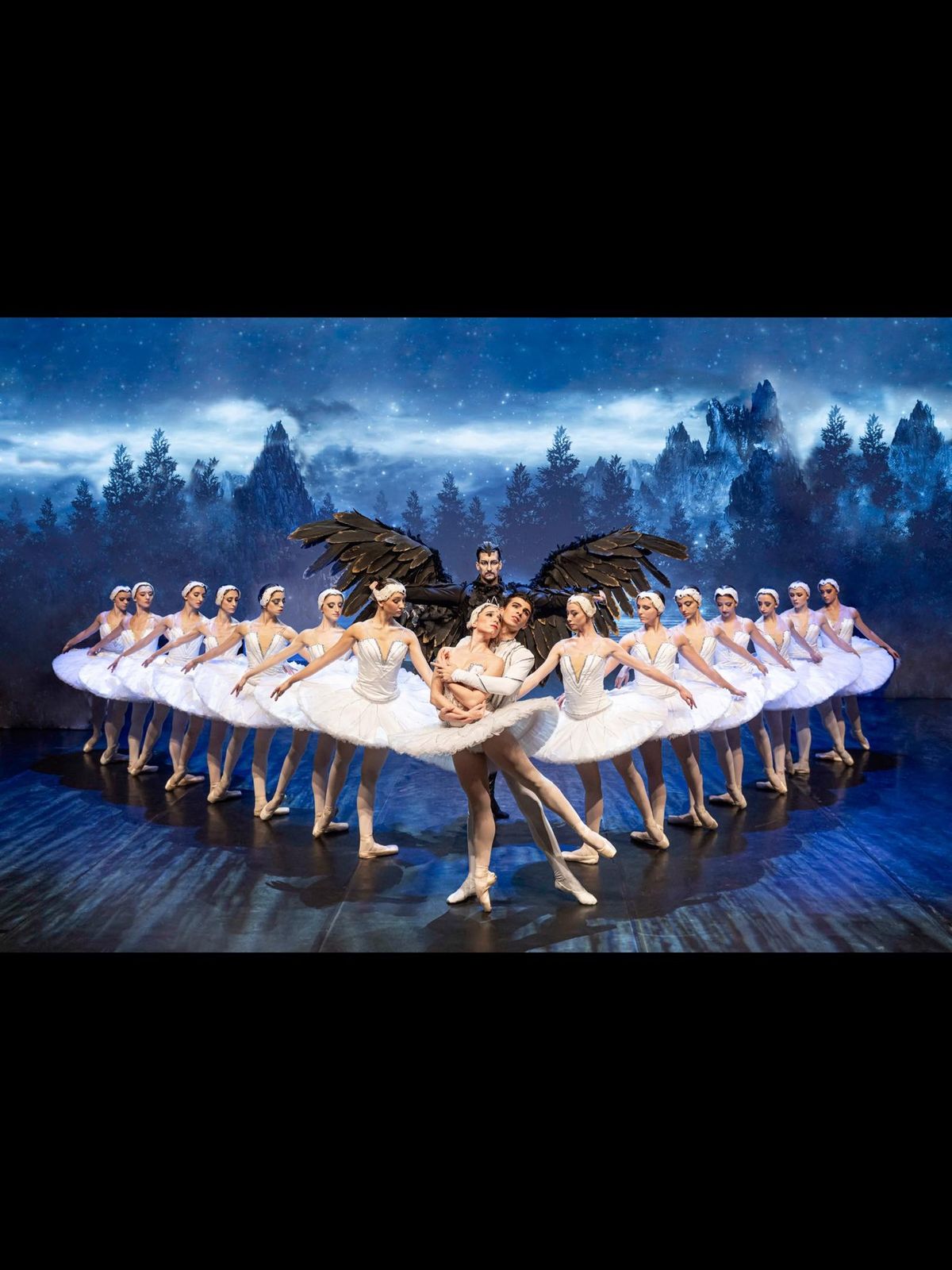 \ud83e\udda2 SWAN LAKE IN BENTON HARBOR \ud83e\udda2 EUROPEAN ROYAL CLASSICAL BALLET \ud83e\udda2