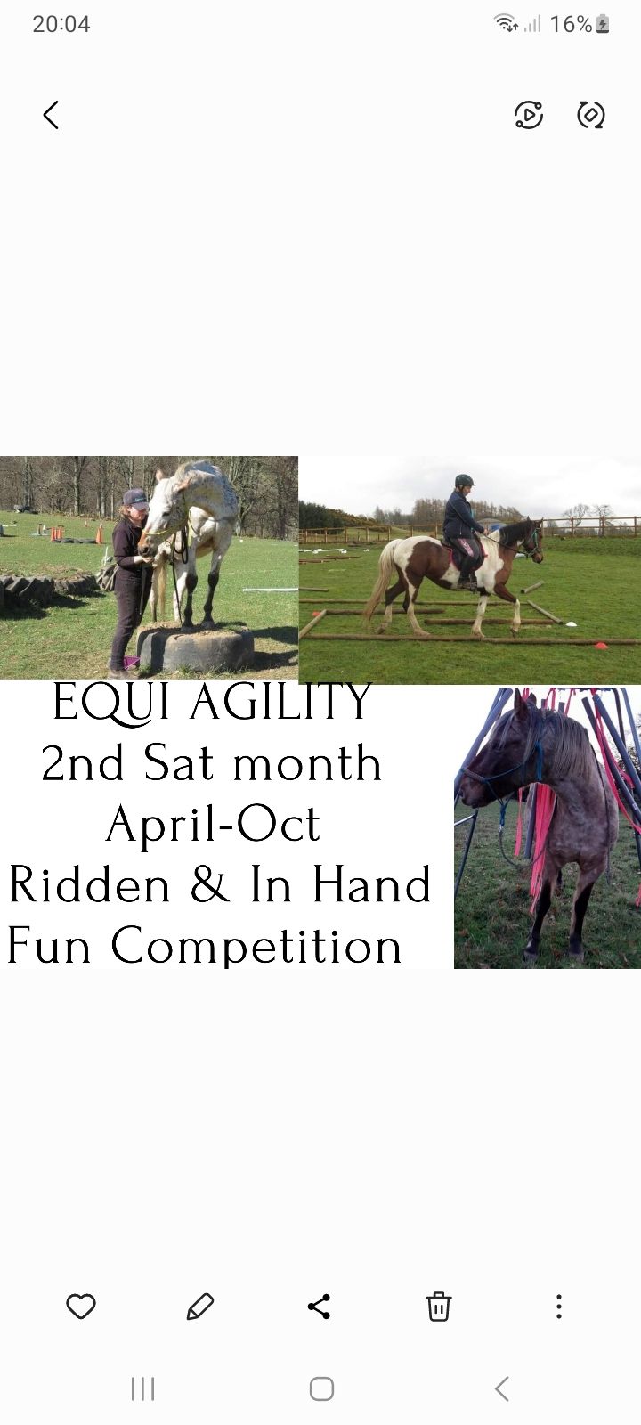 Friendly Monthly EQUI AGILITY Competition 