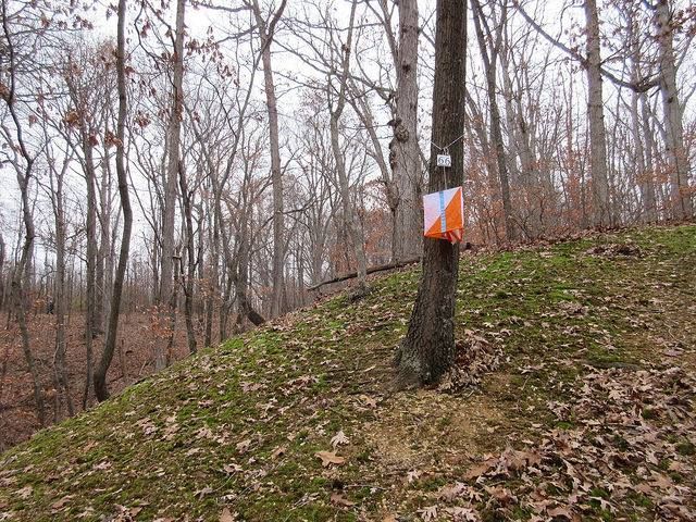 Orienteering at Alley Park