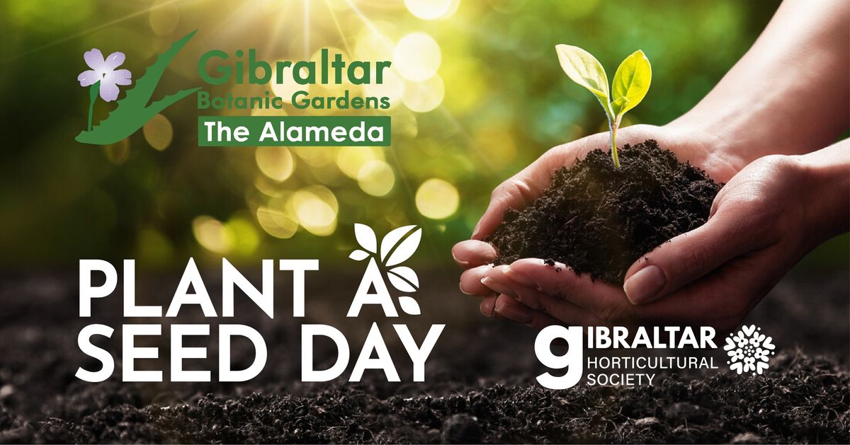 Plant A Seed Day