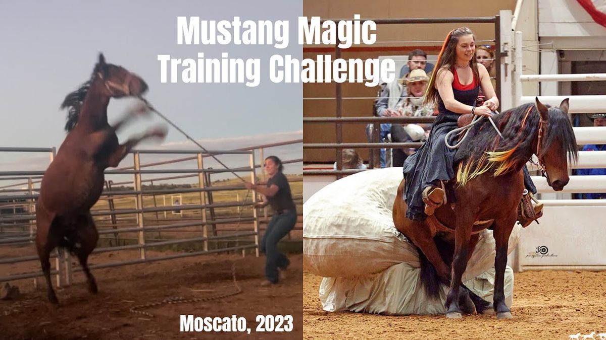 Mustang Magic (Rodeo)