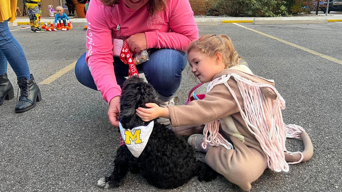 KidZone: Experience the Love - Meet Certified Therapy Dogs! - Therapaws
