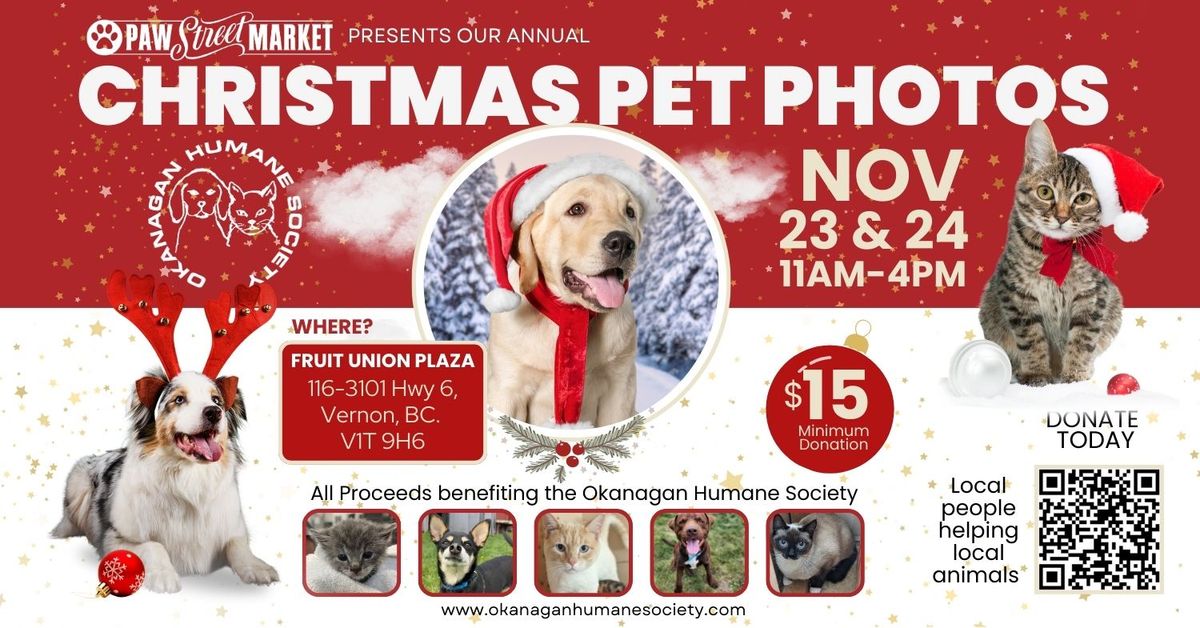 Christmas Pet Photos at Paw Street Market Vernon