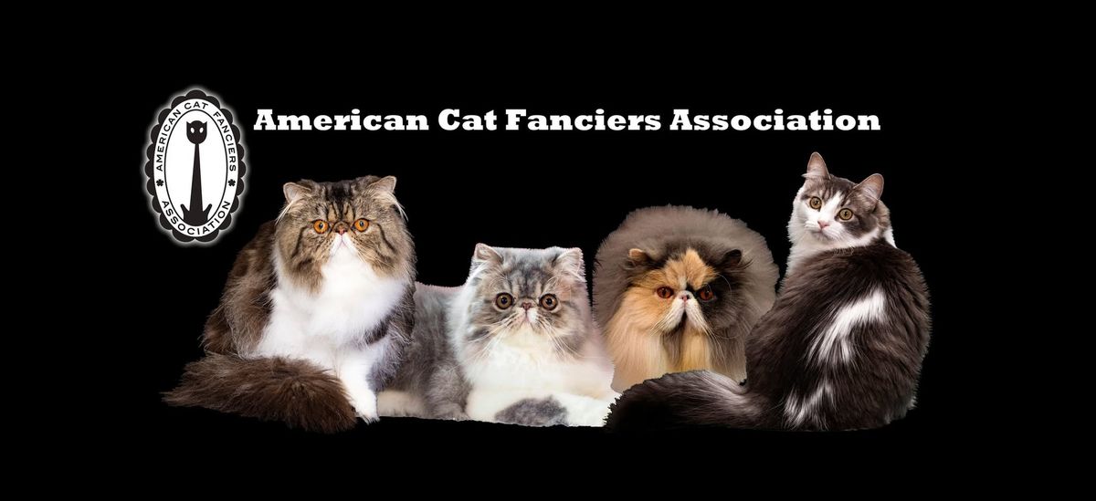 Cat Show-West Fargo, ND