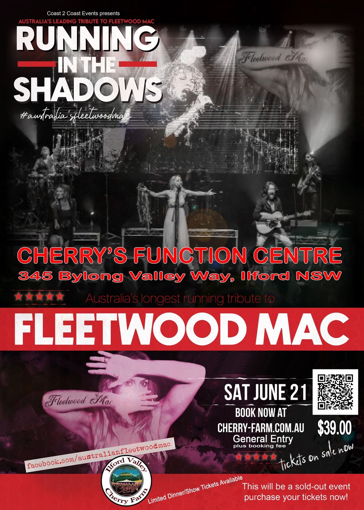 Running in the Shadows - Fleetwood Mac Tribute Show