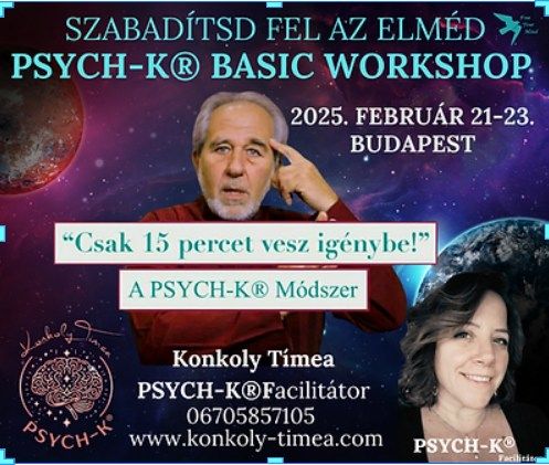  PSYCH-K\u00ae Basic Workshop 