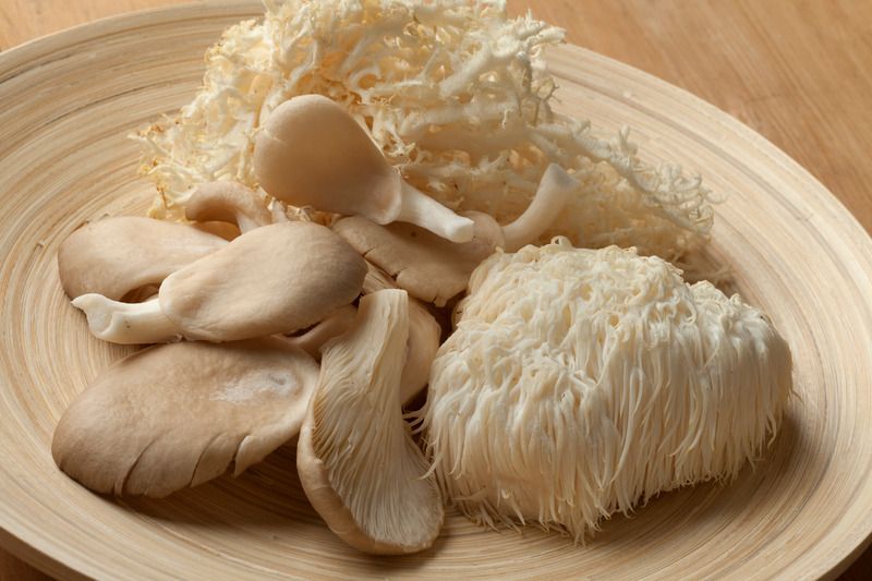 Grow Your Own Mushrooms