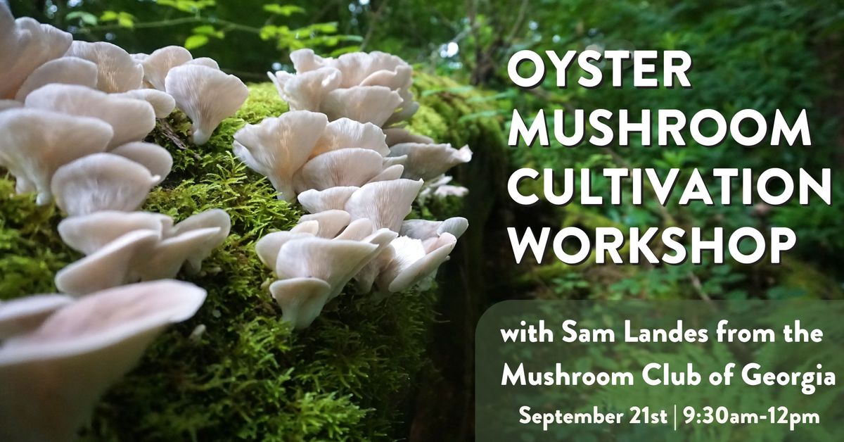 Oyster Mushroom Cultivation Workshop