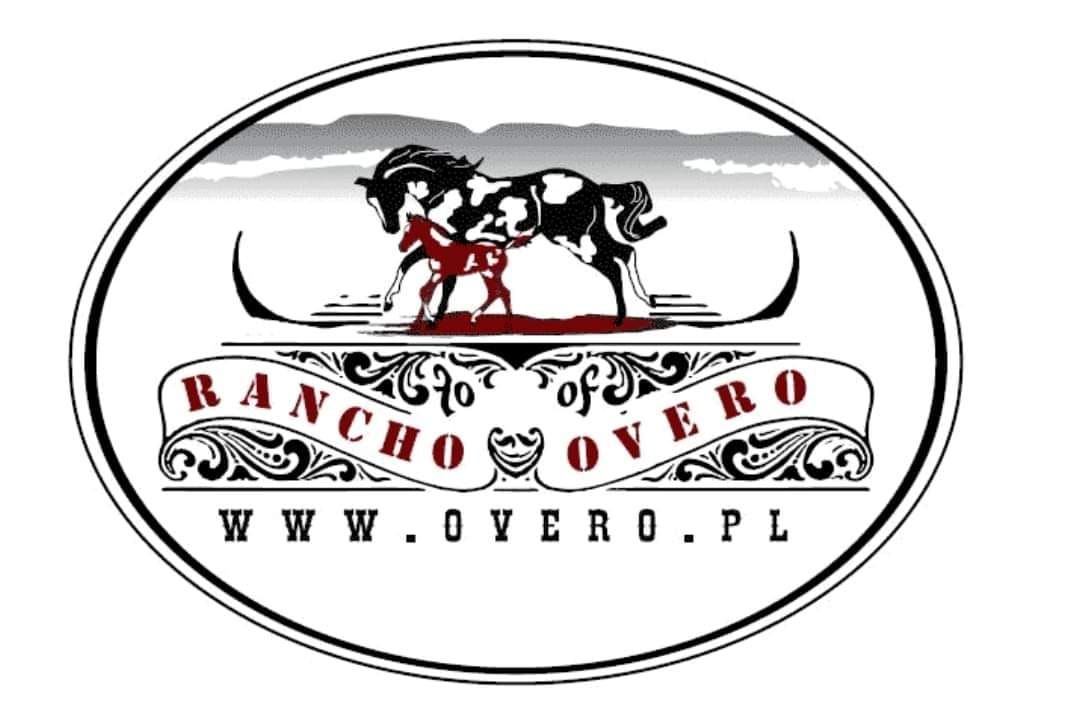 Sudezian Rodeo Cup - Ranch Overo, Nowa Ruda 