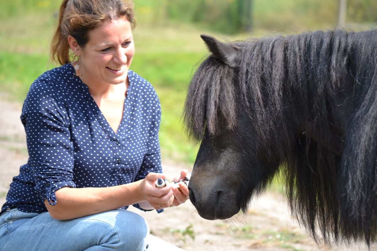 2 daagse cursus communiceren met dieren di 25mrt en 15 april 2025