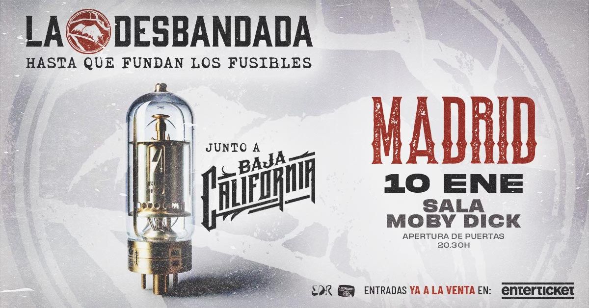 La Desbandada + Baja California en Madrid