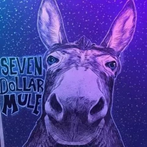 Live Music with Seven Dollar Mule