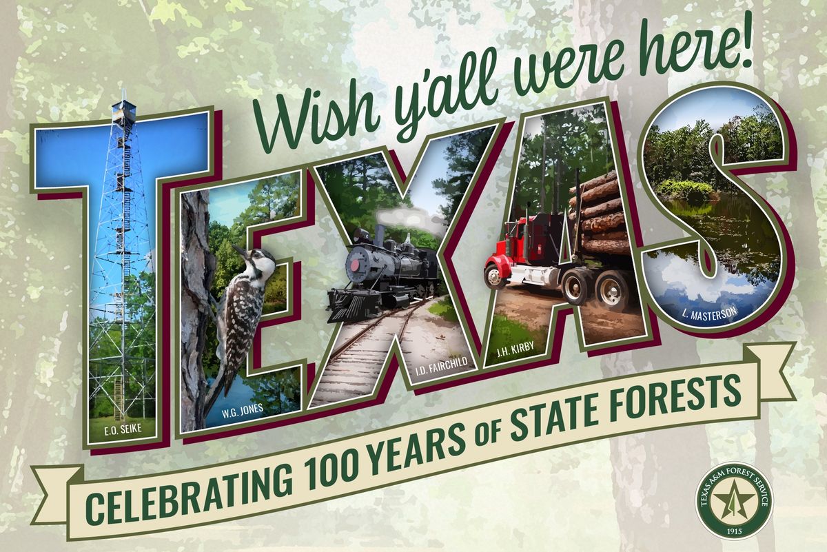 W.G. Jones State Forest Centennial Celebration