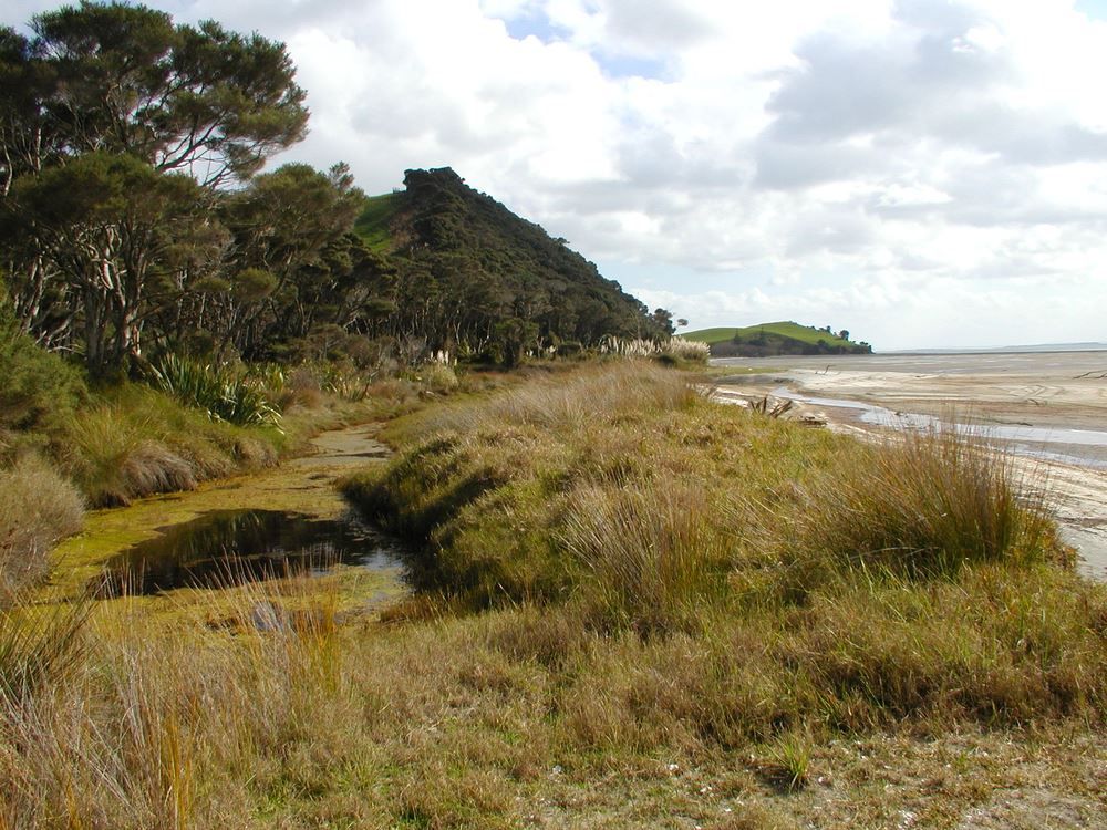 Sunday tramp - South Kaipara Peninsula