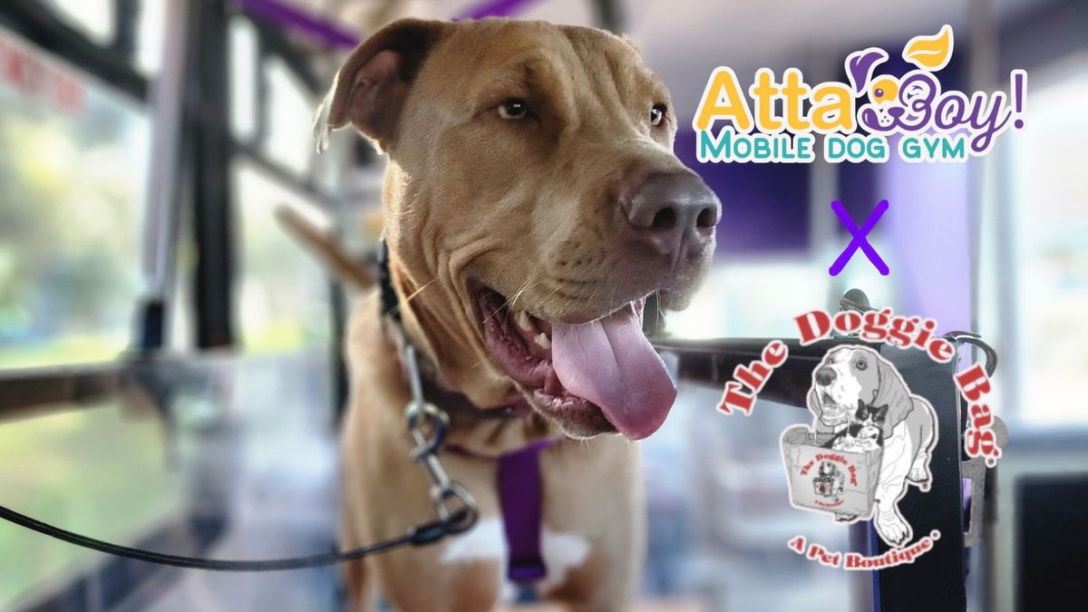 Atta Boy! Mobile Dog Gym x The Doggie Bag