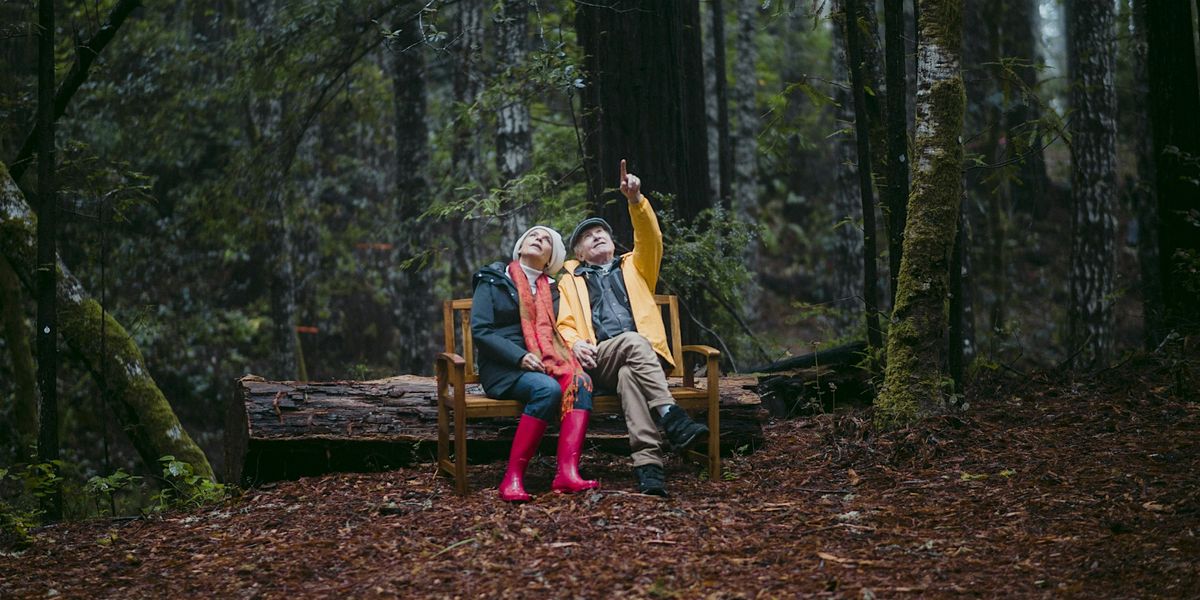 Santa Cruz Forest Winter Remembrance