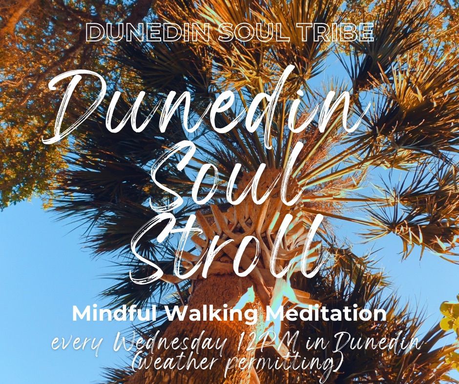 Dunedin Soul Stroll: Mindful Walking Meditation 