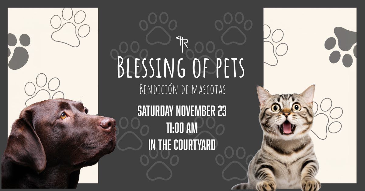 Blessing of Pets