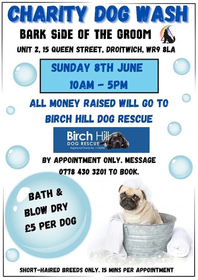 CHARITY DOG WASH 