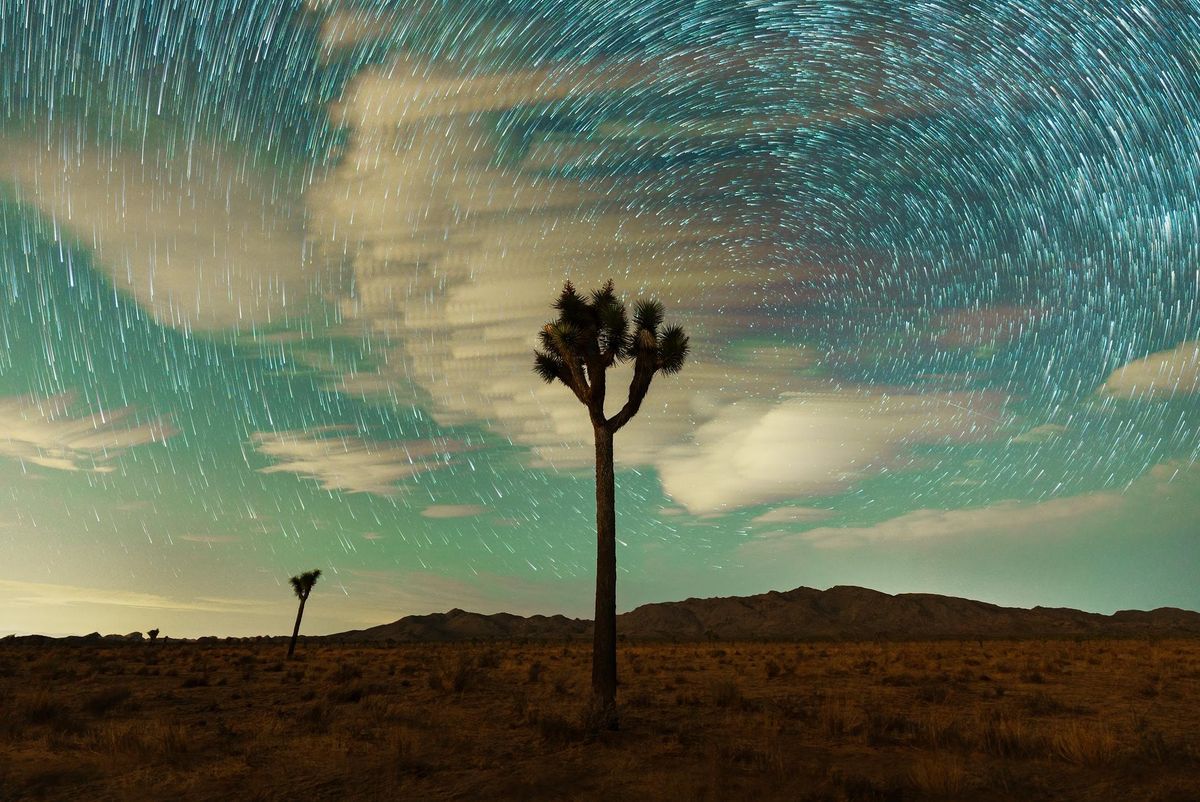 Astrophotography at Joshua Tree National Park with Stan Moniz