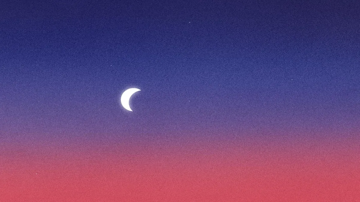 Requin Chagrin in Paris