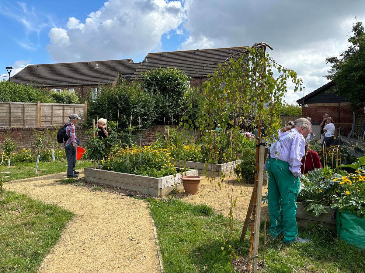 Willow, Welly and Wellbeing Group