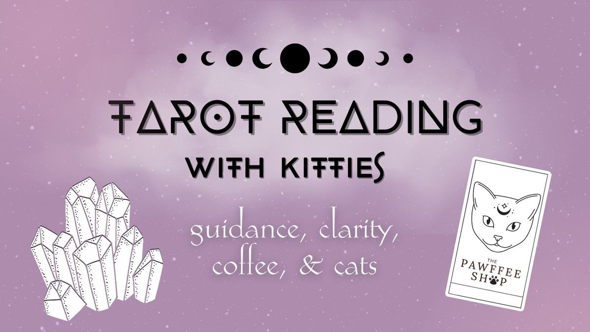 SOLD OUT- Tarot Reading With Kitties