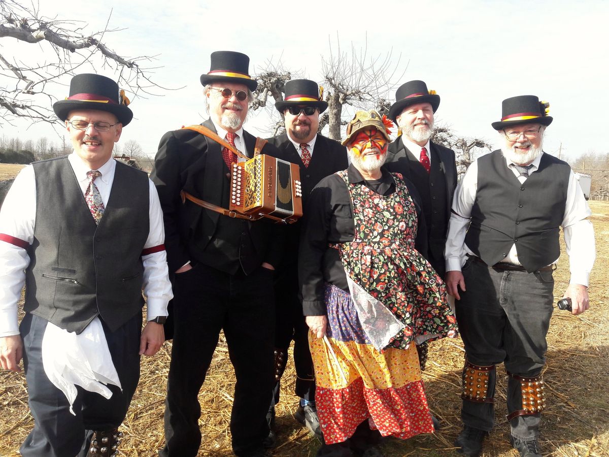 Wassailing the Apple Trees