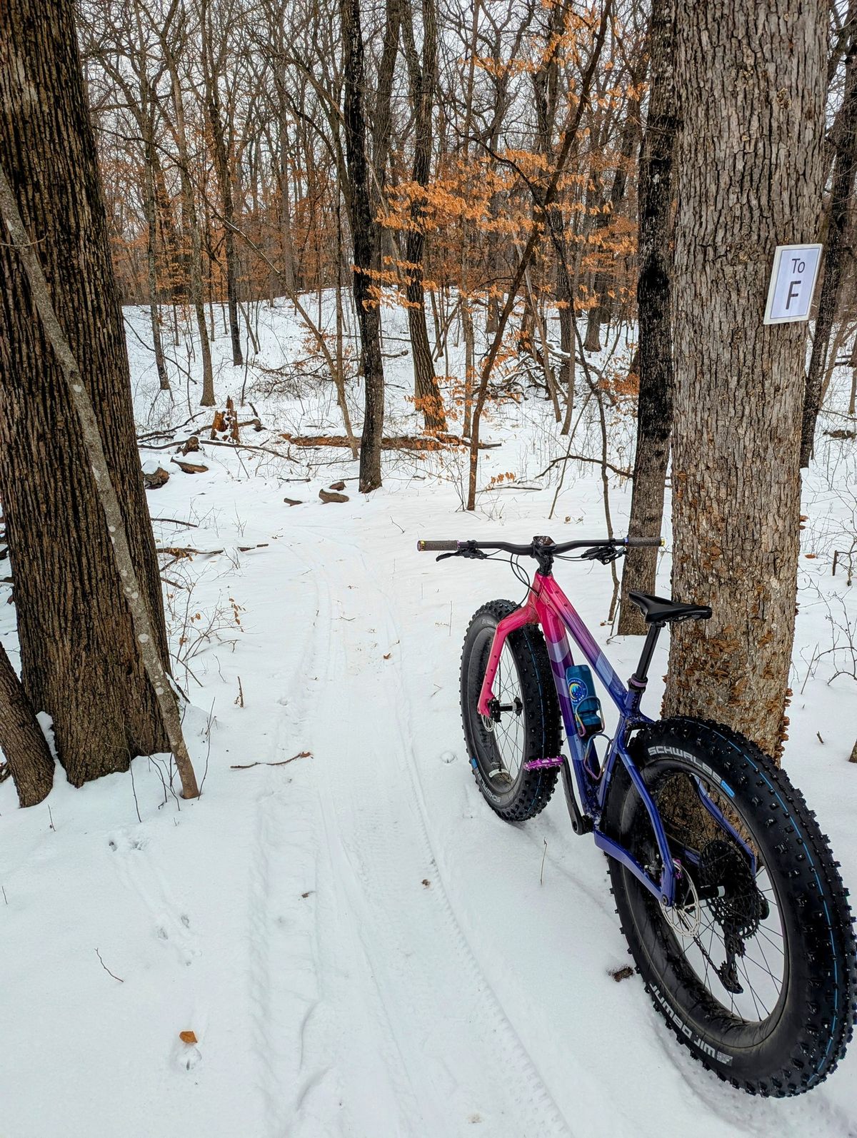 Bold & Cold Fat Bike Demo\/Ride