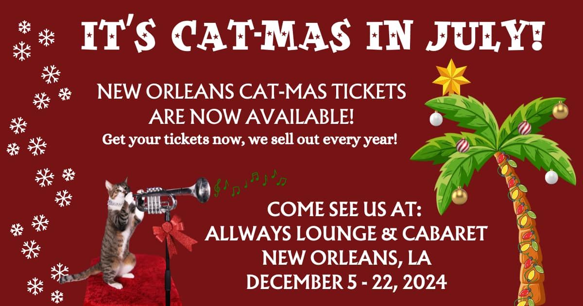 Rock Cats Rescue presents The Meowy Catmas Special!