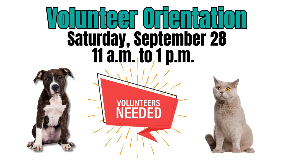 New Volunteer Orientation