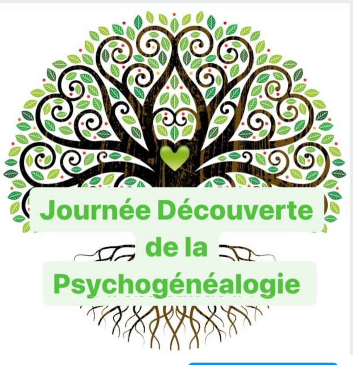 Journ\u00e9e D\u00e9couverte de la Psychog\u00e9n\u00e9alogie \u00e0 GRUISSAN 