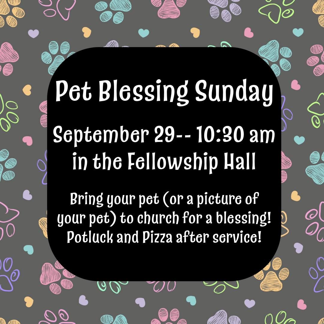 Pet Blessing Sunday