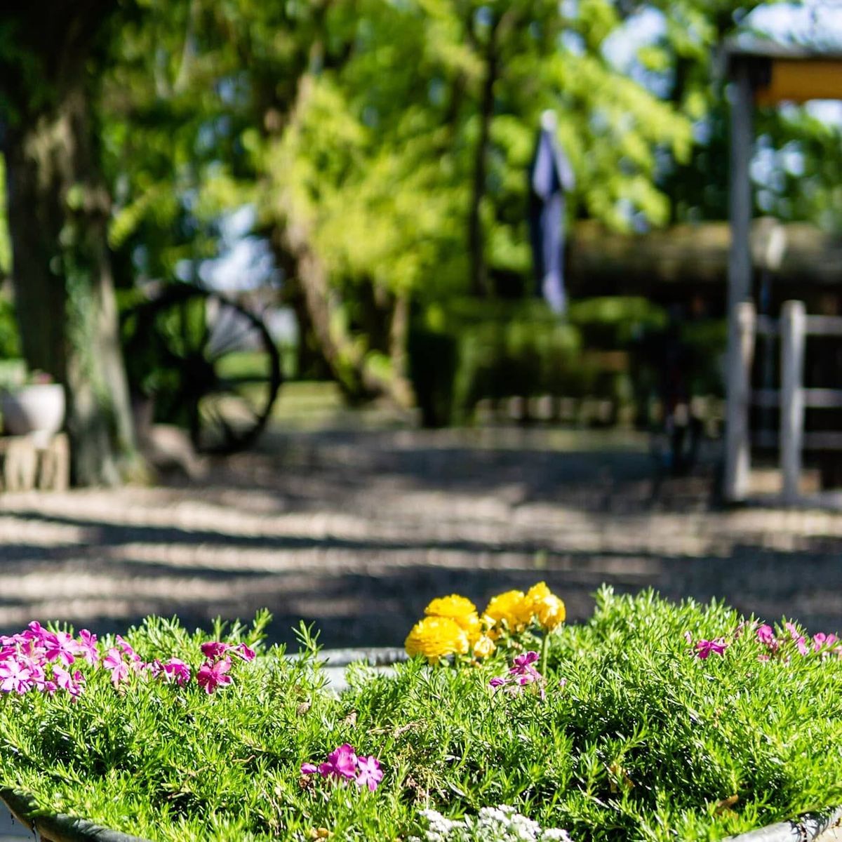 Gro\u00dfe Biergarten- Neuer\u00f6ffnung 