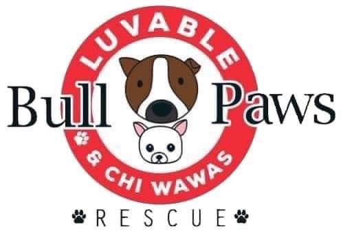 Pittie\u2019 around at 3 nations brewery