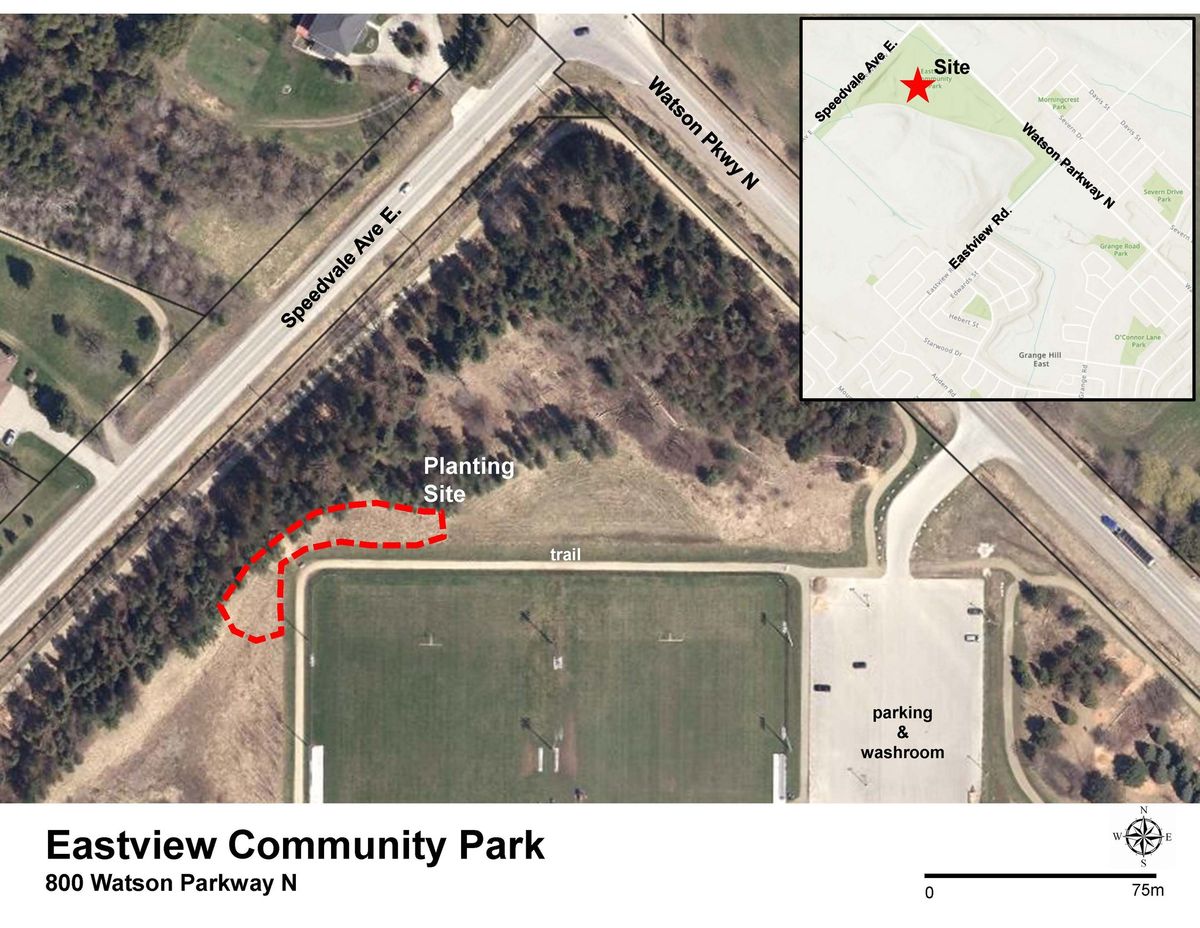 Eastview Community Park Tree Planting