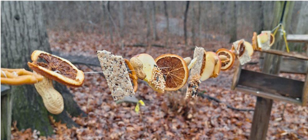 Bird Food Garland Workshop