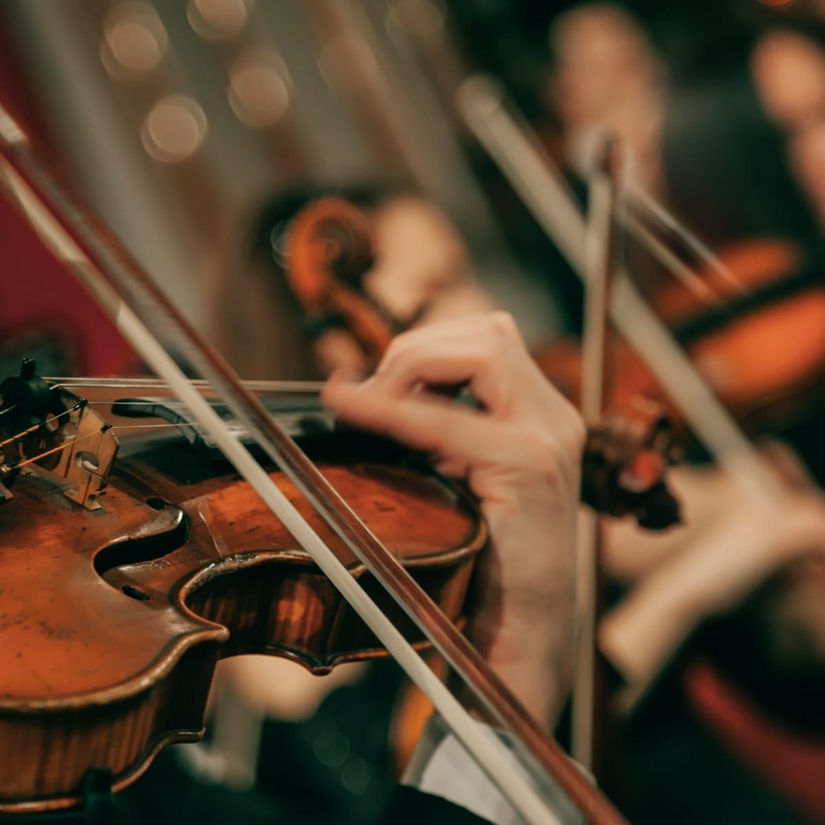 Die Acht Jahreszeiten at Anneliese Brost Musikforum Ruhr