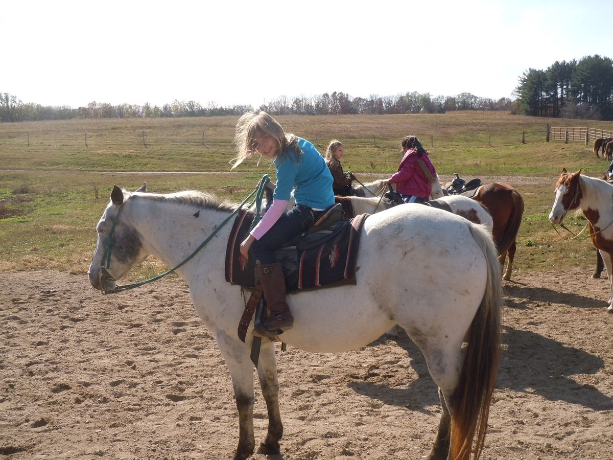 Bunker Park Stables Horseback Riding