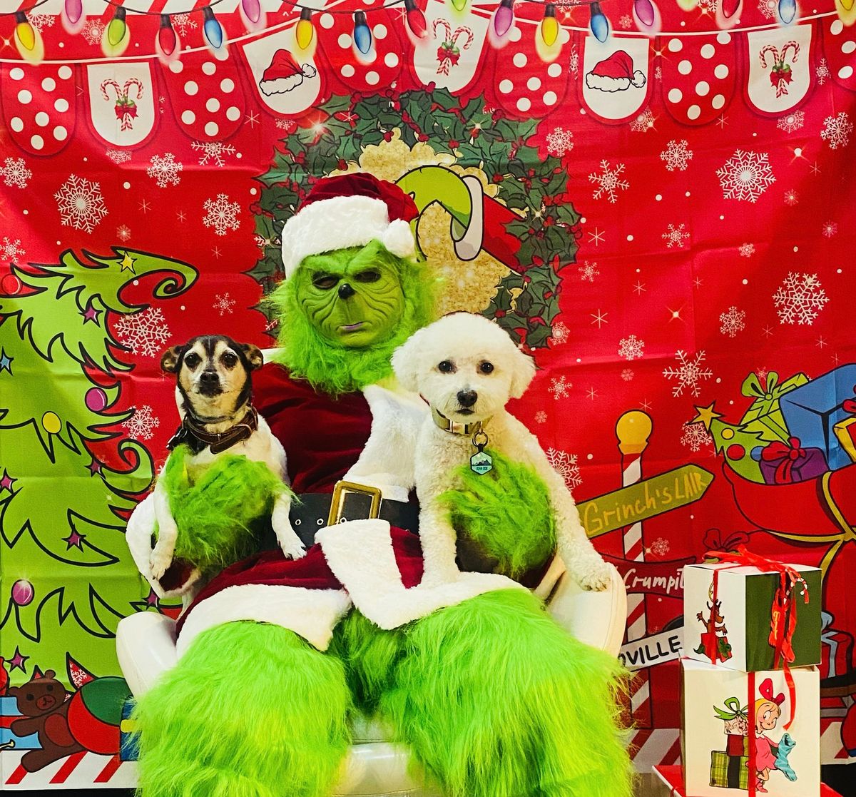 The grinch stole our pictures with Santa 