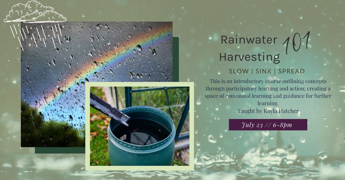 Rainwater Harvesting 101