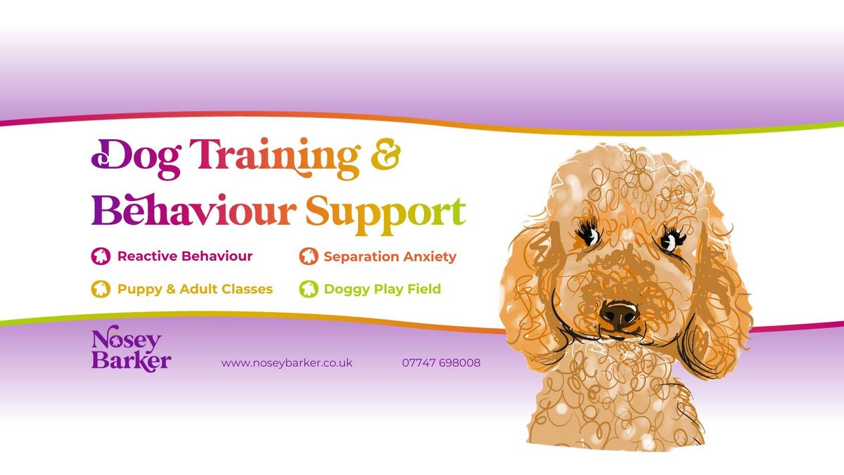 Foundation Dog Training Classes Harlow Garden Centre